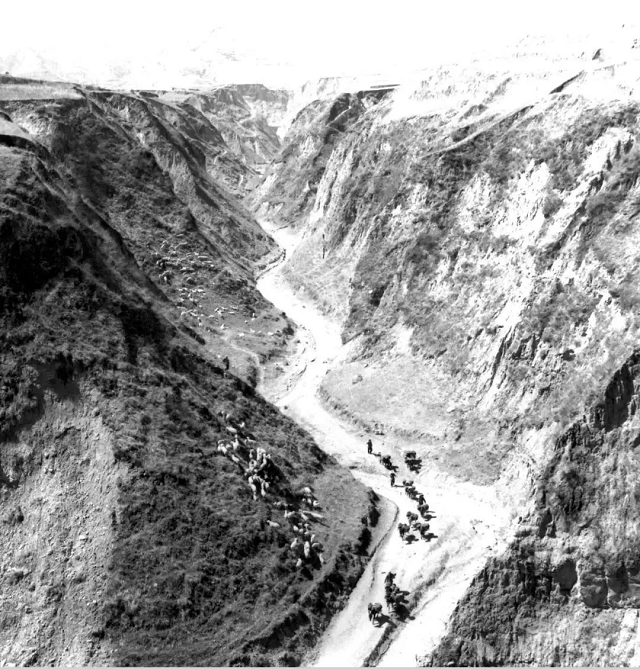 1772766948363.png 3.png