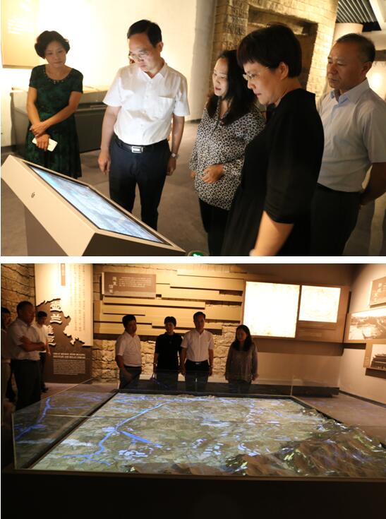 莆田市委书记林宝金到莆田市博物馆调研(图4)