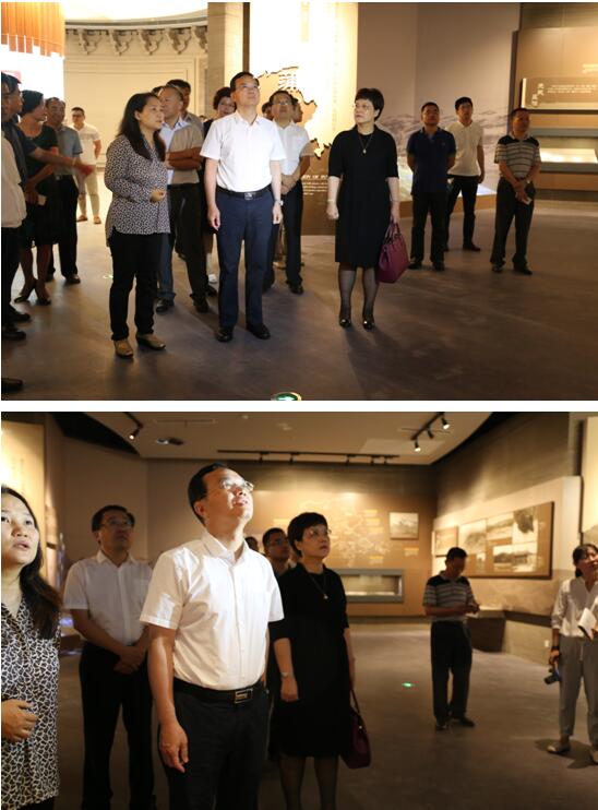 莆田市委书记林宝金到莆田市博物馆调研(图3)